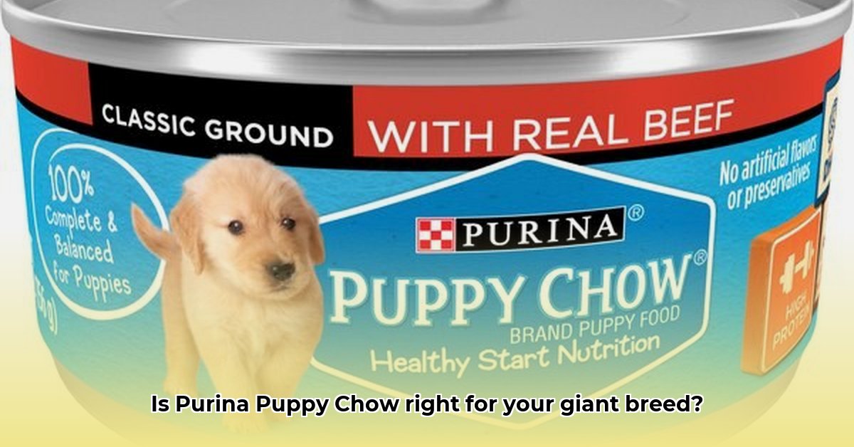 purina-puppy-chow-tractor-supply